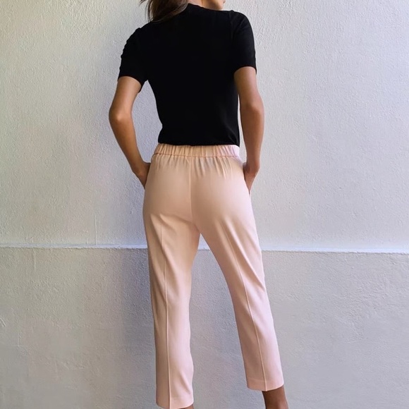 Babaton Aritzia Cohen Pleated Front Cropped Trouser Pants in Blush Pink - Picture 3 of 9